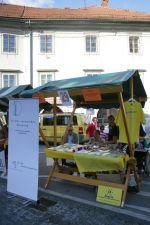 6. Bazar nevladnih organizacij v Novem mestu, 2013